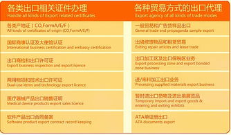 聚焦外貿(mào)服務(wù)一體化 專業(yè)代理報關(guān)與商貿(mào)對接新路徑